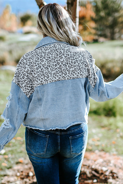 Veste courte en denim bleu déchirée à imprimé léopard grande taille