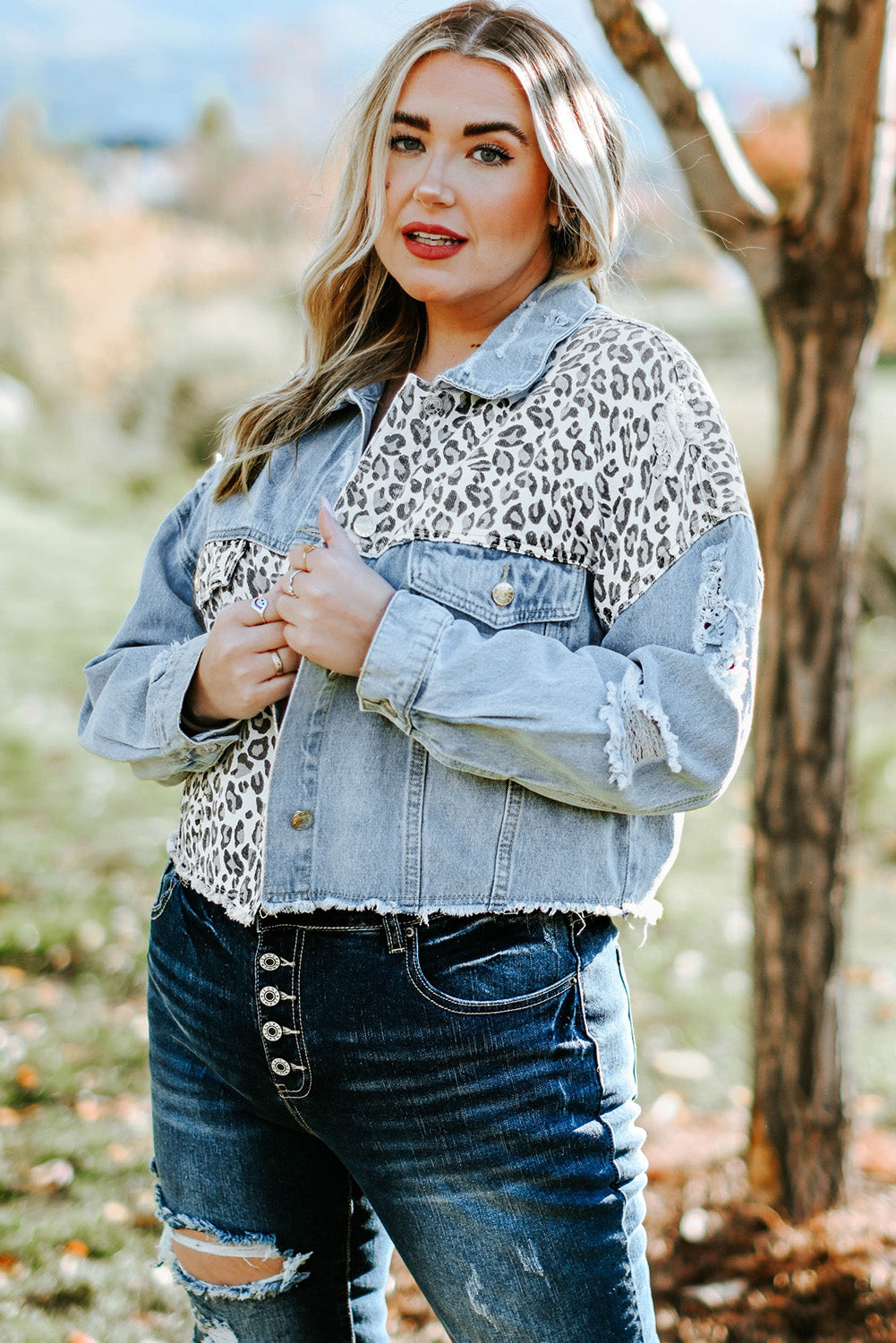 Veste courte en denim bleu déchirée à imprimé léopard grande taille